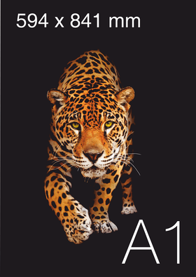Poster printing in A1 format